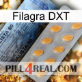 Filagra DXT 44